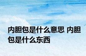 内胆包是什么意思 内胆包是什么东西