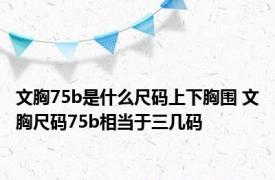 文胸75b是什么尺码上下胸围 文胸尺码75b相当于三几码