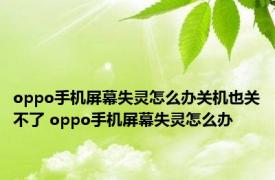 oppo手机屏幕失灵怎么办关机也关不了 oppo手机屏幕失灵怎么办