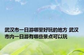 武汉市一日游哪里好玩的地方 武汉市内一日游有哪些景点可以玩