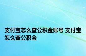 支付宝怎么查公积金账号 支付宝怎么查公积金