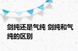 剑纯还是气纯 剑纯和气纯的区别