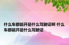 什么车都能开是什么驾驶证啊 什么车都能开是什么驾驶证