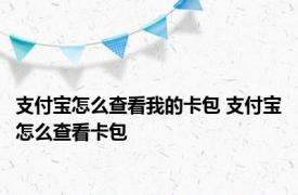 支付宝怎么查看我的卡包 支付宝怎么查看卡包