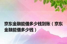 京东金融能借多少钱到账（京东金融能借多少钱）