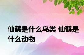 仙鹤是什么鸟类 仙鹤是什么动物