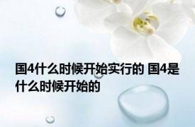 国4什么时候开始实行的 国4是什么时候开始的