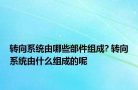 转向系统由哪些部件组成? 转向系统由什么组成的呢