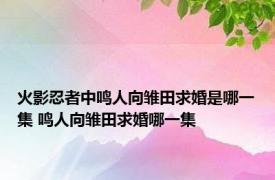 火影忍者中鸣人向雏田求婚是哪一集 鸣人向雏田求婚哪一集