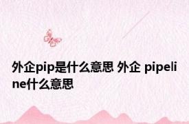 外企pip是什么意思 外企 pipeline什么意思