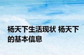 杨天下生活现状 杨天下的基本信息