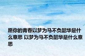 愿你的青春以梦为马不负韶华是什么意思 以梦为马不负韶华是什么意思