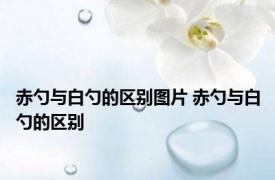 赤勺与白勺的区别图片 赤勺与白勺的区别