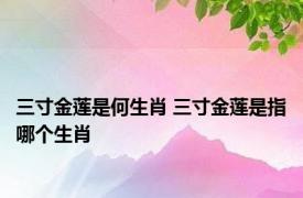 三寸金莲是何生肖 三寸金莲是指哪个生肖