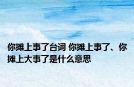 你摊上事了台词 你摊上事了、你摊上大事了是什么意思