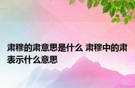 肃穆的肃意思是什么 肃穆中的肃表示什么意思