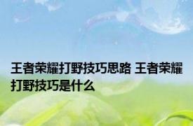 王者荣耀打野技巧思路 王者荣耀打野技巧是什么