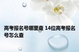 高考报名号哪里查 14位高考报名号怎么查