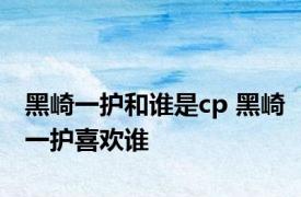 黑崎一护和谁是cp 黑崎一护喜欢谁 