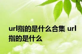 url指的是什么合集 url指的是什么