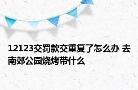 12123交罚款交重复了怎么办 去南郊公园烧烤带什么