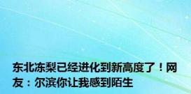 东北冻梨已经进化到新高度了！网友：尔滨你让我感到陌生