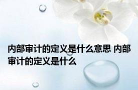 内部审计的定义是什么意思 内部审计的定义是什么