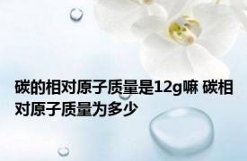 碳的相对原子质量是12g嘛 碳相对原子质量为多少