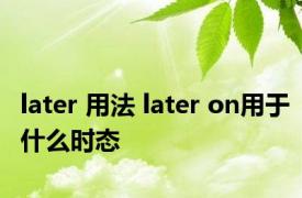 later 用法 later on用于什么时态