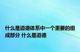 什么是道德体系中一个重要的组成部分 什么是道德