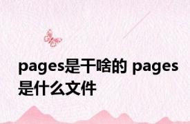 pages是干啥的 pages是什么文件