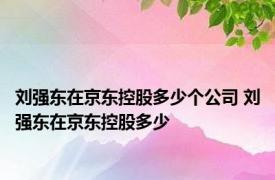 刘强东在京东控股多少个公司 刘强东在京东控股多少