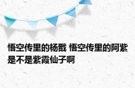 悟空传里的杨戬 悟空传里的阿紫是不是紫霞仙子啊