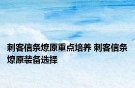 刺客信条燎原重点培养 刺客信条燎原装备选择