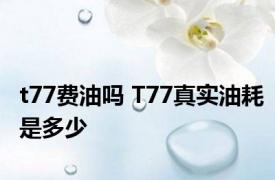 t77费油吗 T77真实油耗是多少