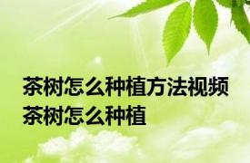 茶树怎么种植方法视频 茶树怎么种植