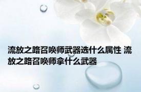 流放之路召唤师武器选什么属性 流放之路召唤师拿什么武器