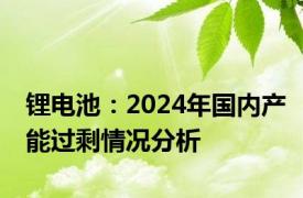 锂电池：2024年国内产能过剩情况分析