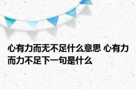 心有力而无不足什么意思 心有力而力不足下一句是什么