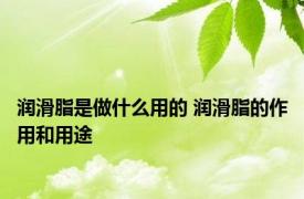 润滑脂是做什么用的 润滑脂的作用和用途