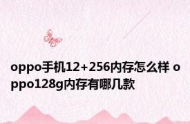 oppo手机12+256内存怎么样 oppo128g内存有哪几款