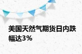 美国天然气期货日内跌幅达3%