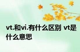 vt.和vi.有什么区别 vt是什么意思