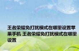 王者荣耀免打扰模式在哪里设置苹果手机 王者荣耀免打扰模式在哪里设置