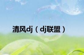 清风dj（dj联盟）