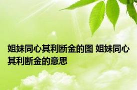 姐妹同心其利断金的图 姐妹同心其利断金的意思