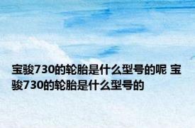 宝骏730的轮胎是什么型号的呢 宝骏730的轮胎是什么型号的