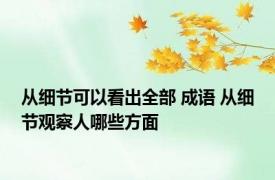 从细节可以看出全部 成语 从细节观察人哪些方面