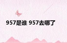 957是谁 957去哪了