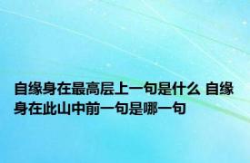 自缘身在最高层上一句是什么 自缘身在此山中前一句是哪一句